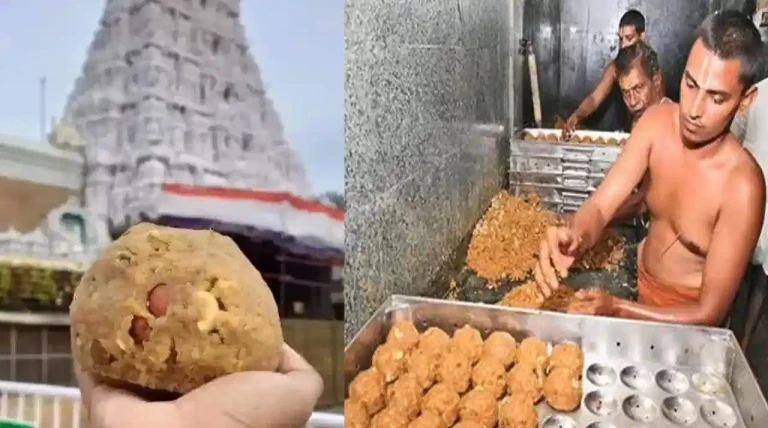 tirumala-tirupati-laddu-cas.webp